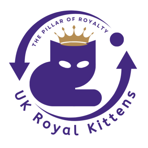 ukroyalkittens.com