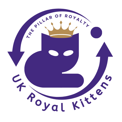 ukroyalkittens.com